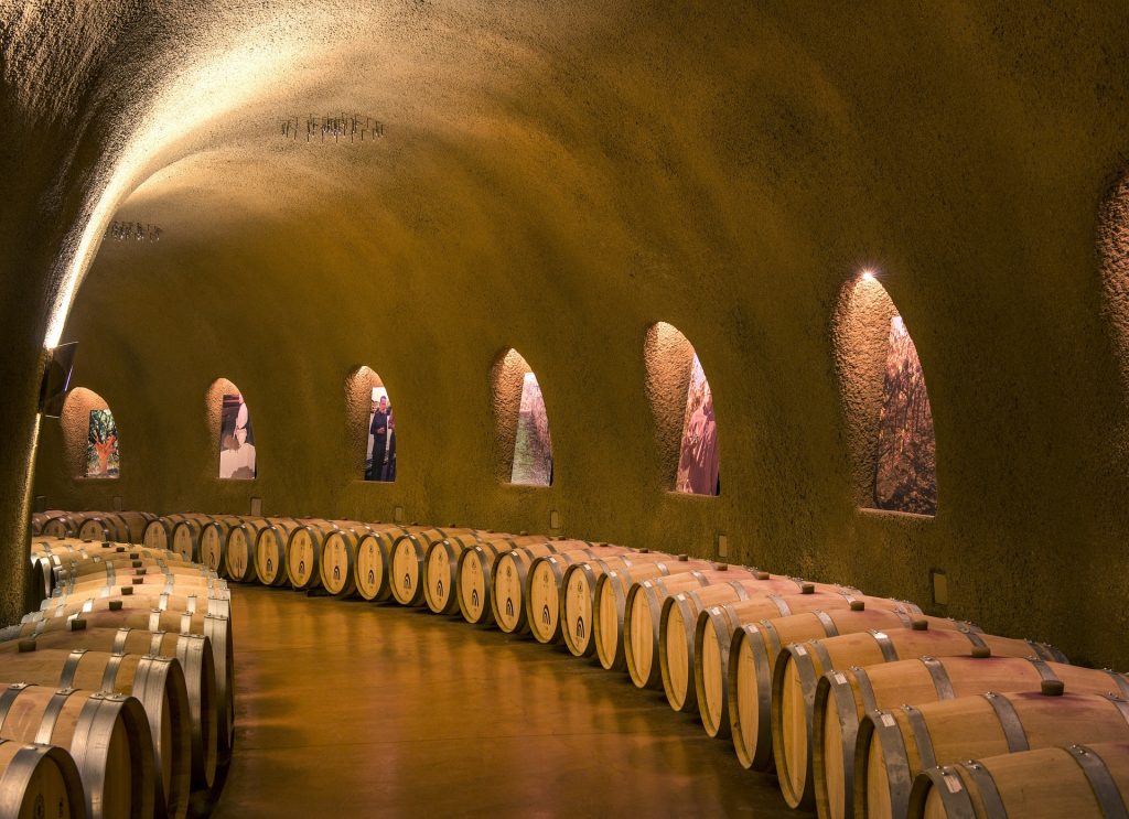 Esempio di cantina| TecnoAcademy